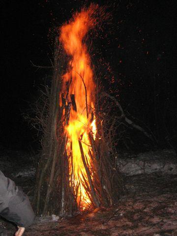 tűz